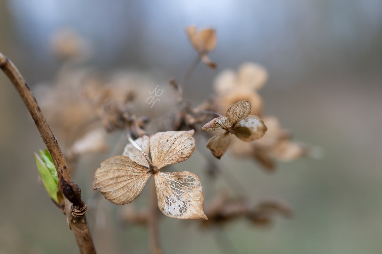 Little treasures